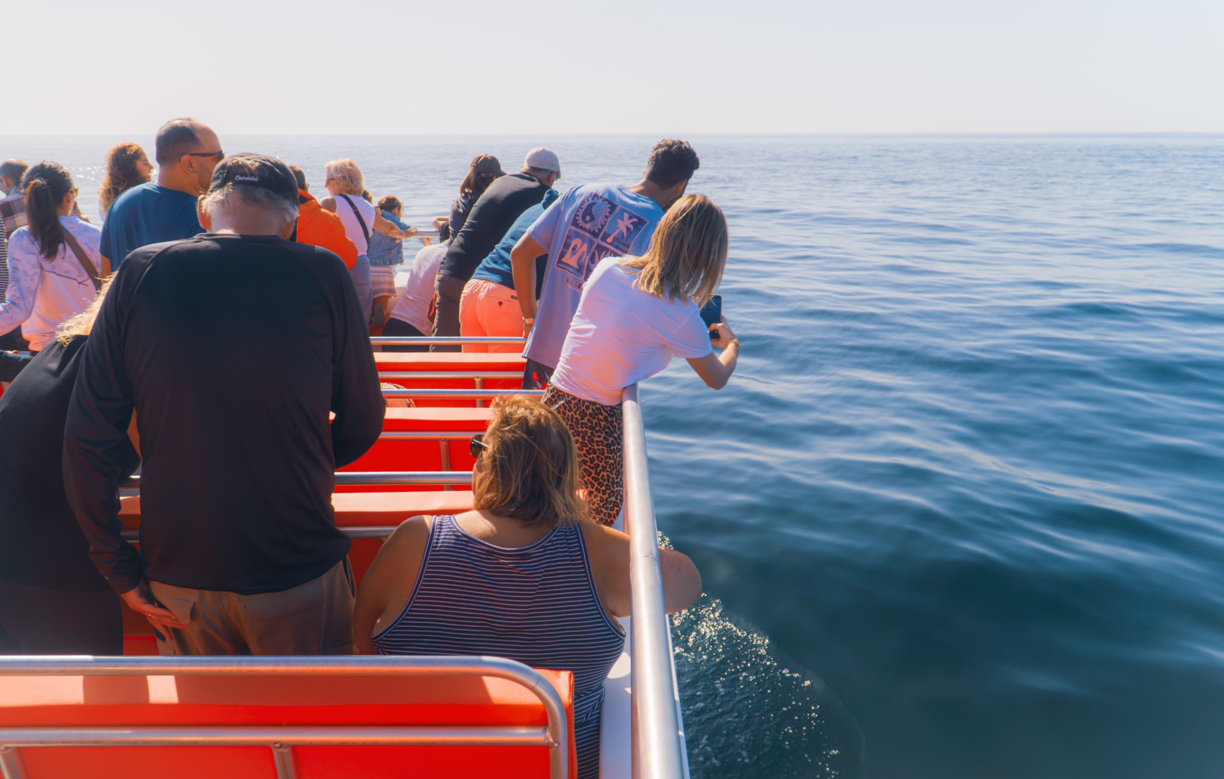 Family-friendly dolphin and Benagil cave boat experience