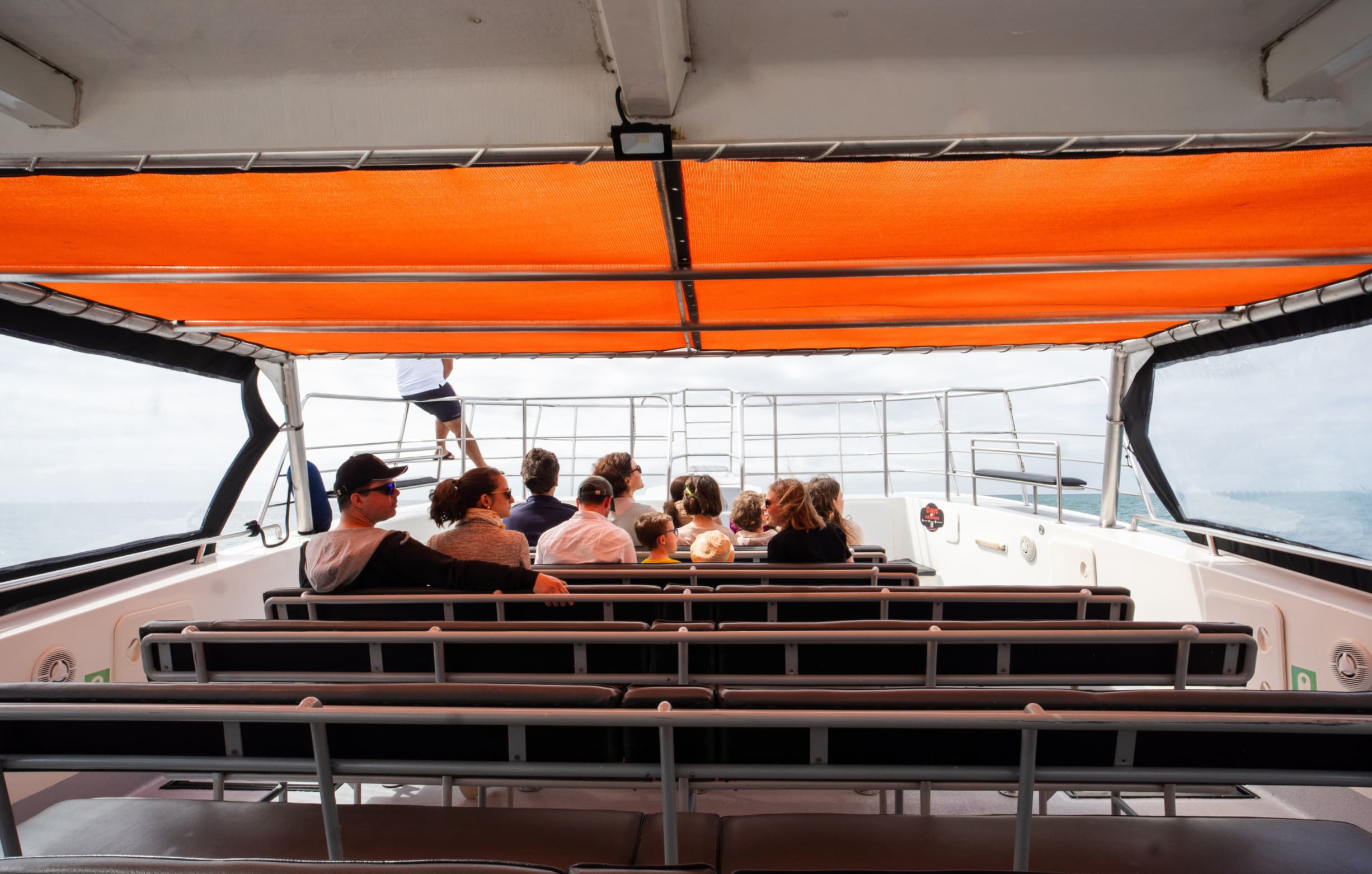 Dolphin watching catamaran cruise along the Algarve coast