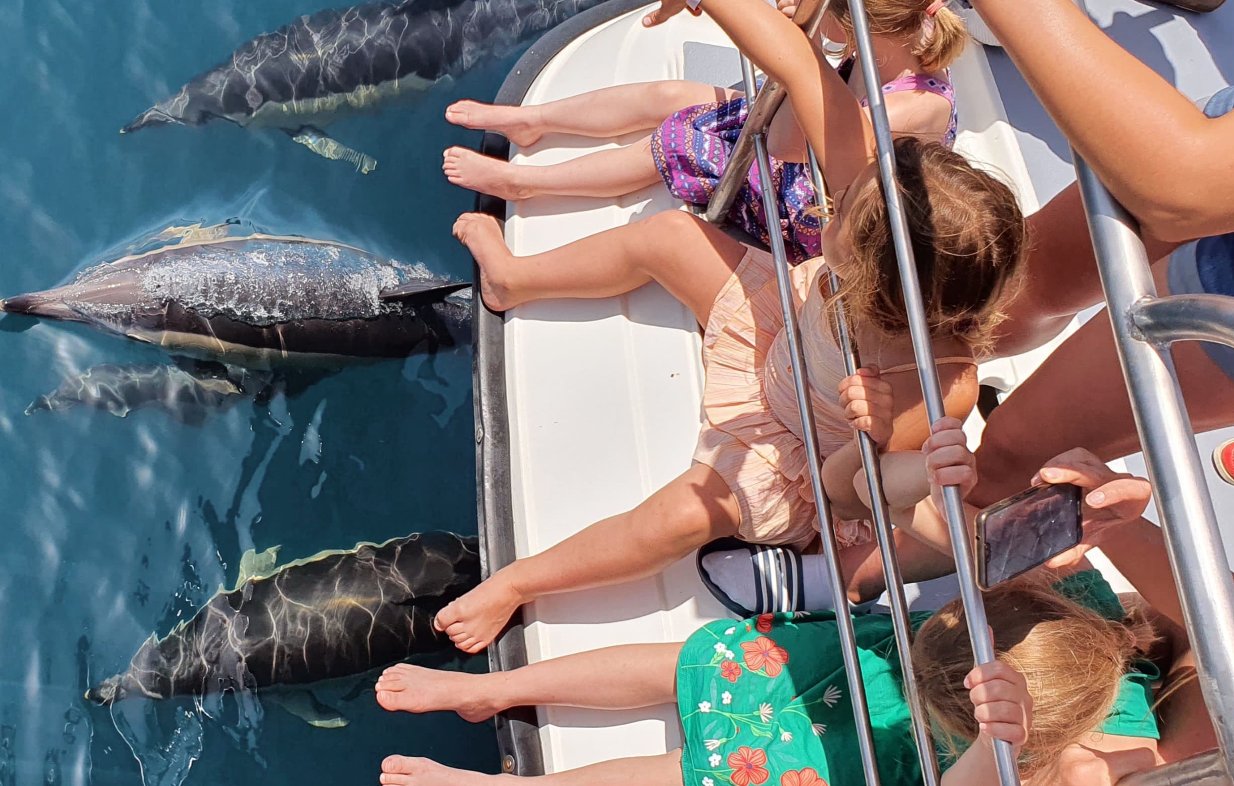 Catamaran searching for dolphins in the Atlantic Ocean
