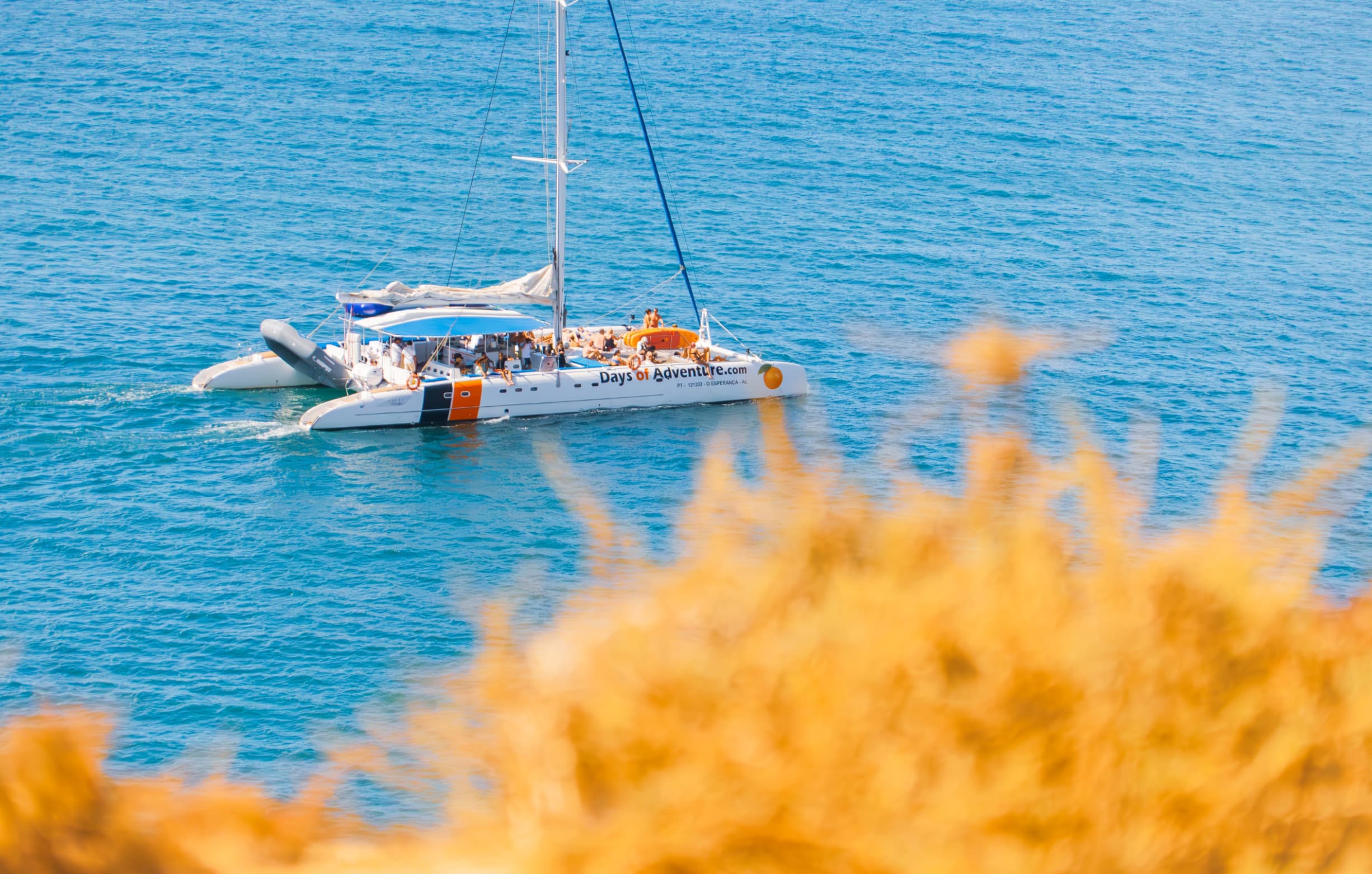 Catamaran sailing tour with ocean views in Algarve